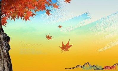 秋天组成