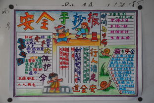 小学生交通安全随笔