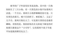 我明白了一个道理作文400字