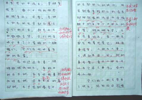 做实验作文