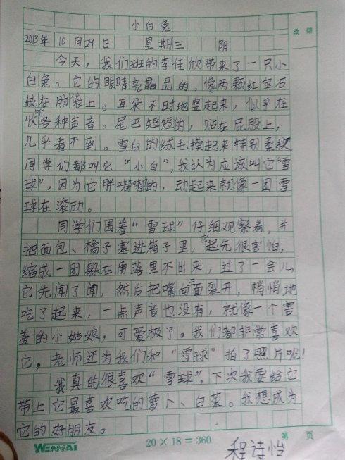 关于小白兔日记