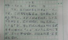 关于小白兔的日记