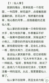 借用东西来比喻200字