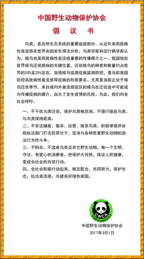环境提案构成