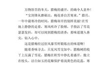 借物喻人的作文路灯