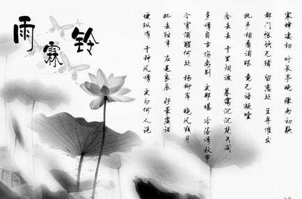 余林玲续
