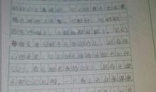 人与动物的作文400字