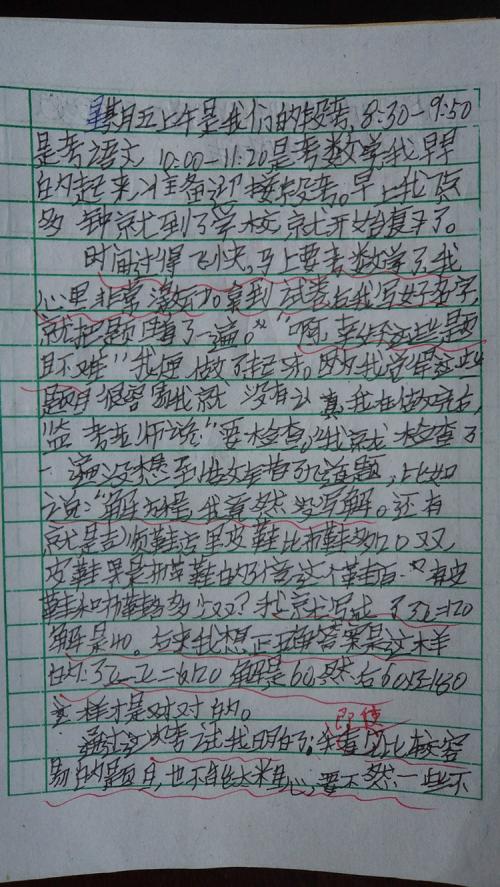 五年级数学日记250字