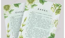 清明节踏青作文600字