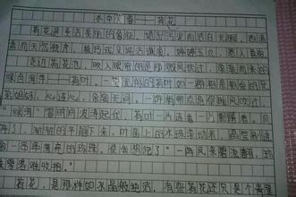 描述民族习俗的作品