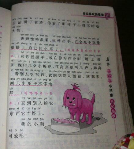 关于狗的日记