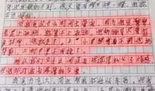 我眼中的他作文