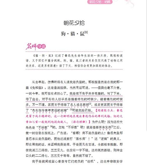 在朝化溪接送狗，猫和老鼠