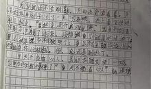 写语文老师的作文