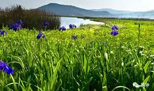 读《走进和谐的春天》有感