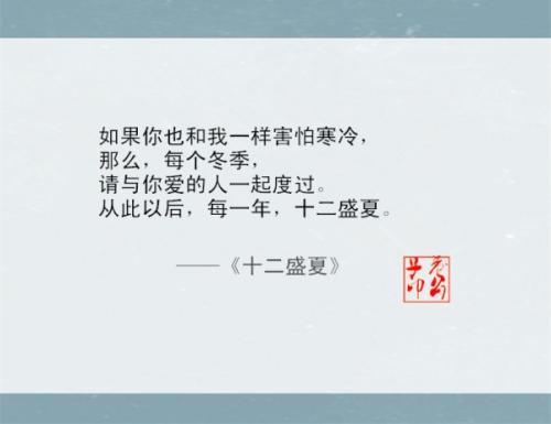 网络小说中的经典句子
