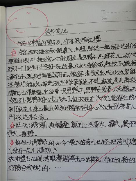 缩写100个字