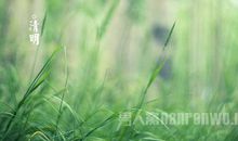 清明时节雨作文