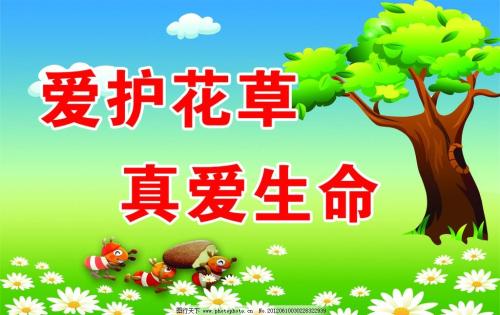 保护花草始于我