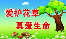 保护花草从我做起作文