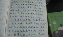 描写数学老师的作文