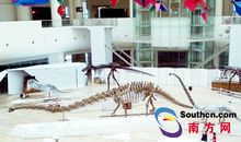 穿越侏罗纪想象作文