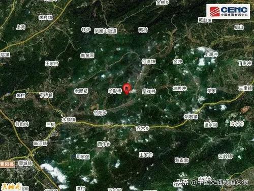 地震后看书