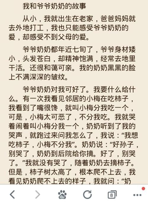 农历新年日记
