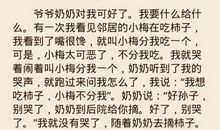过年日记