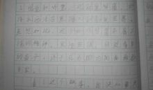 假如给我三天光明读后感350字