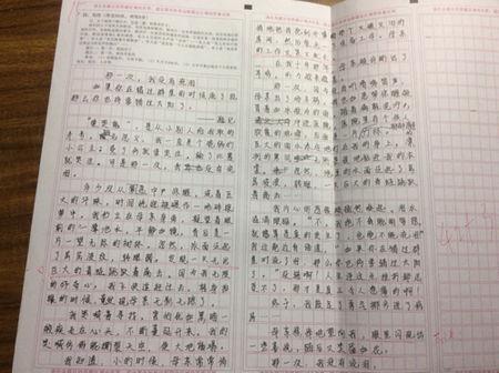 母爱组成结束