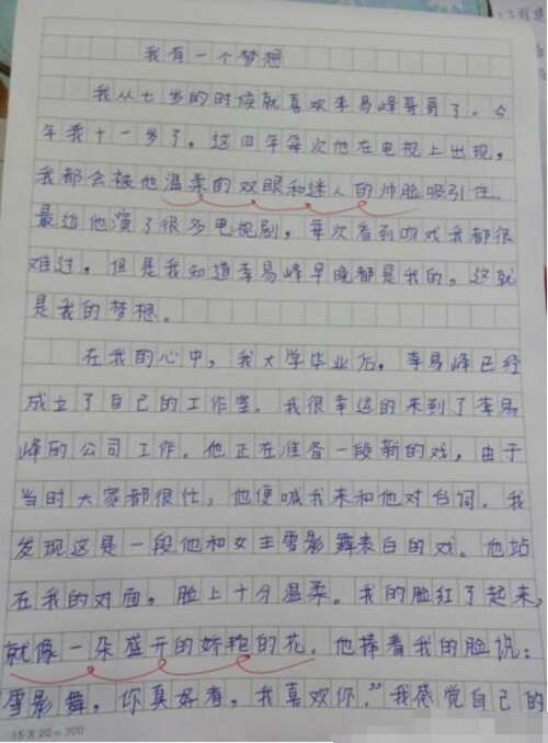 小学论文我的兄弟