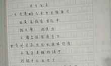 身边的普通人作文