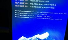 地球之最读后感