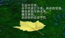 经典语录 人生