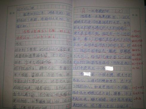 200个字