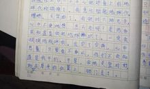 我的选择初三作文