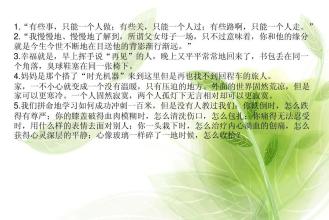 关于龙应台散文的思考