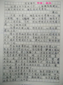 融入新学校的组成