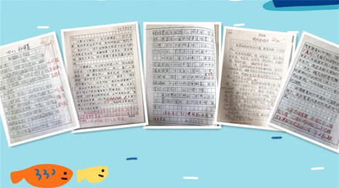 实验组成
