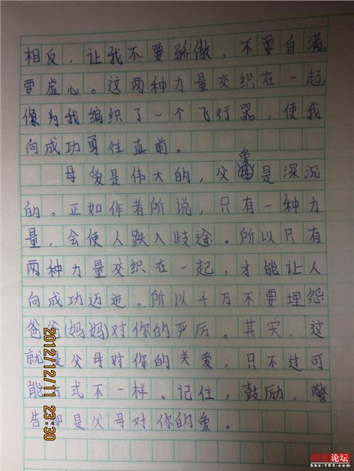 鸟歌流300字