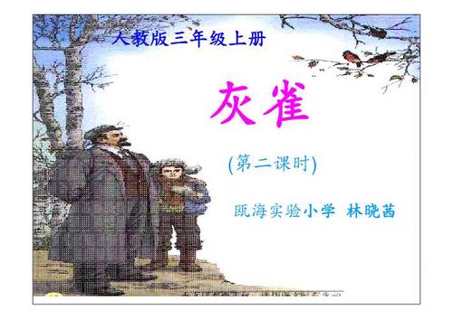 灰麻雀续