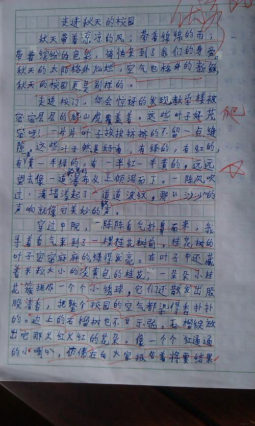 黑板上的记忆组成