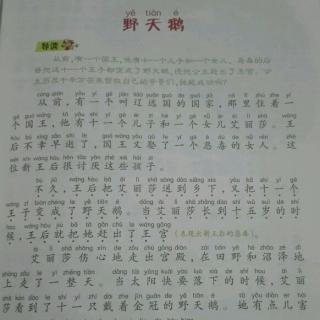 看完野天鹅