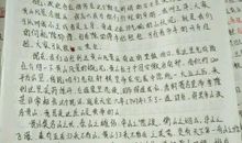 黄山游记作文700字