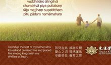 我读懂了母爱结尾