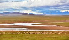 可可西里观后感