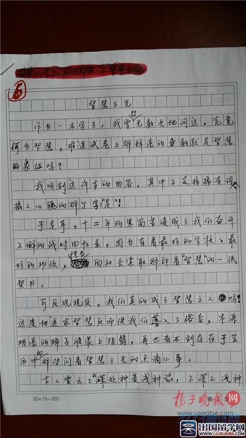 2018年高考全科作文浙江试卷：《 Z》是你