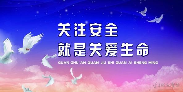 学校安全教育演讲