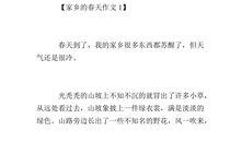 家乡的春节作文200字